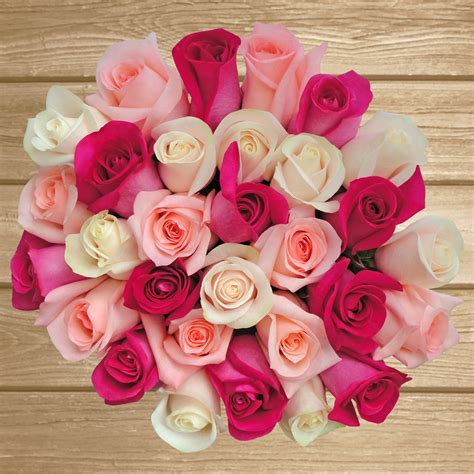 White And Pink Rose Flowers Images