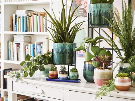 Green Up Your Space: The Ultimate Guide to Choosing Suitable Indoor Plant Pots | My Study Notes