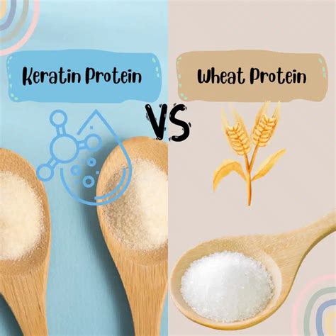 Keratin And Protein
