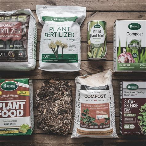 Do Plant Foods Have a Shelf Life? What You Need to Know - AgriVibes