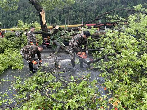 开化县：“园林卫士”紧急维护极端天气后的倾倒树木-开化新闻网
