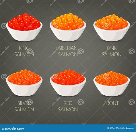 Roe or Spawn, Red or Silver, Salmon Caviar Stock Vector - Illustration of food, delicious: 85341056