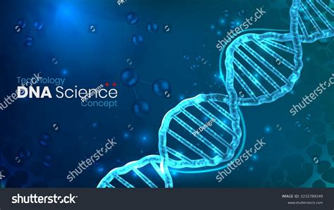 DNA Vector 的图像结果