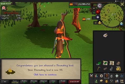 OSRS UIM Guide 的图像结果