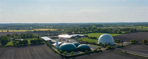 Biomasse fliegt raus: Biogas und Holz sollen nicht mehr als erneuerbar ...