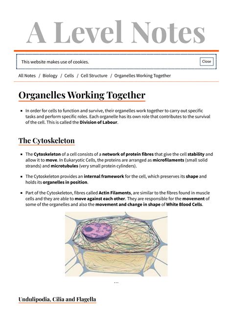 Cell Structure Notes 的图像结果