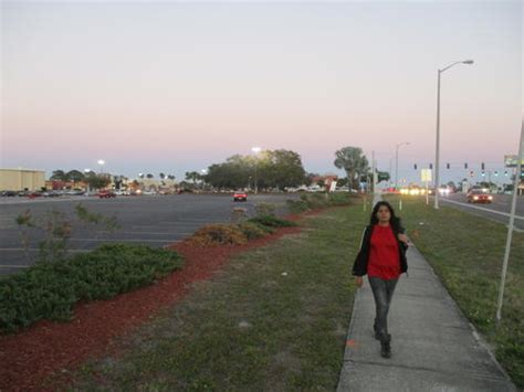 Violin And Piano Lessons From Experienced Female Tutor - Musical ...