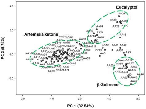 Multivariate Analysis of Essential Oil Composition of Artemisia annua L ...