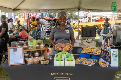 About The Youth Entrepreneurship Scheme – Ministry of Youth, Sports and ...