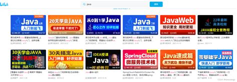 零基础自学Java，下面这些学习网站你绝对需要_java免费自学网站_Itmastergo的博客-CSDN博客