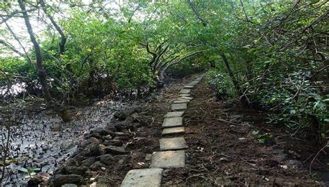 Mayem Lake Offer Serene Getaway In Goa To Explore In 2026