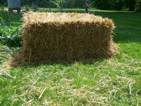 A Maine Garden: Straw Bale Gardening 1