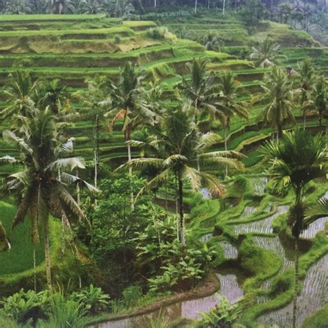 SEGARA AYU VILLA (Bali/Buleleng District) - Villa Reviews & Photos ...