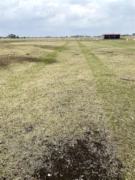 Seed casting equipment failure when planting winter rye grass forage ...