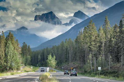 Photography Photos as Local 的图像结果