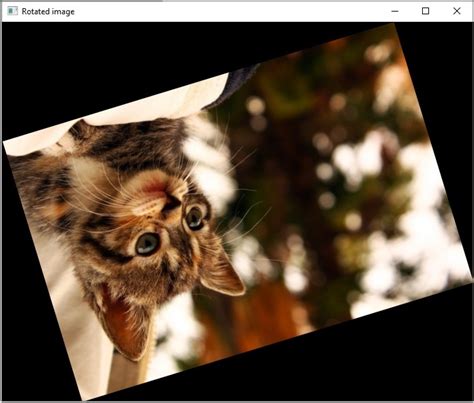 Python-Opencv Move Image 的图像结果