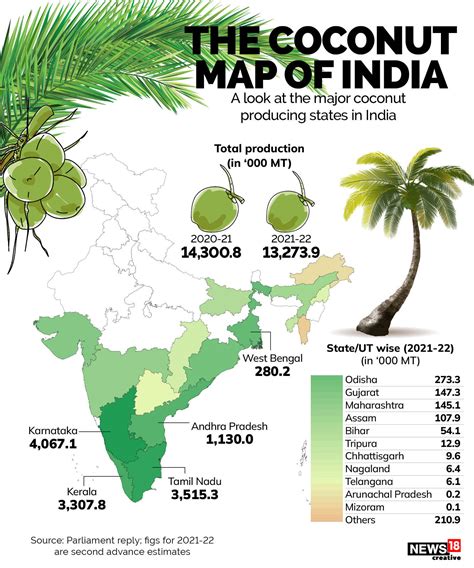Countries Where Coconut Trees Grow at Eileen Marvin blog