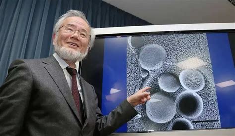 日本科学家大隅良典获诺贝尔医学奖 - 每日头条
