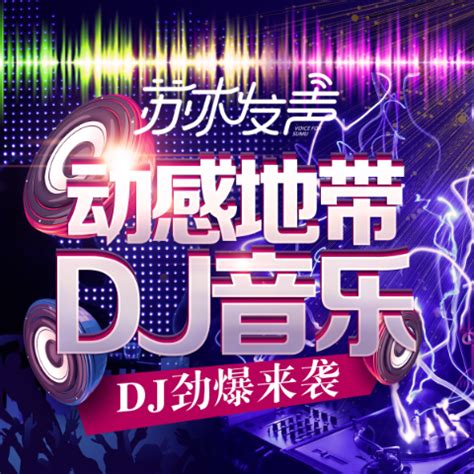 坏女孩(DJ水果香瓜版) DJ苏木试听下载 - 劲爆DJ音乐网 www.dj107.com