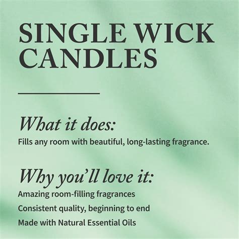 Buy Bath & Body Works Triple Berry Cooler Single Wick Candle Online