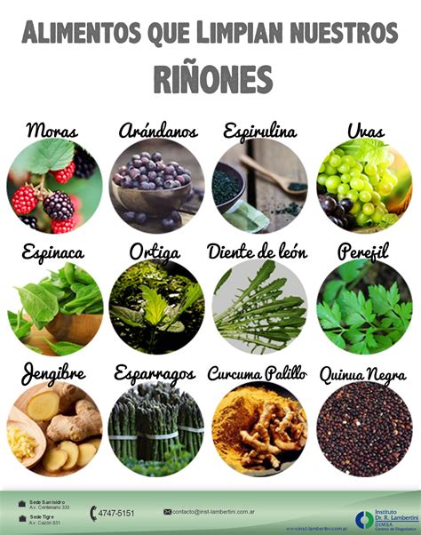 "RIÑONES" ¿Sabías que? Algunos alimentos pueden ayudar a limpiar ...