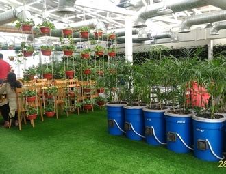 Shared Office Space Vardhman Trade Centre, Unit no.1, 3rd floor DDA ...