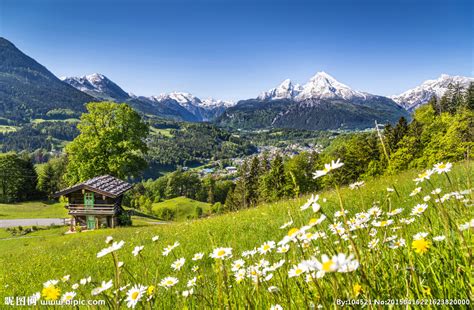 春天的田野摄影图__自然风景_自然景观_摄影图库_昵图网nipic.com