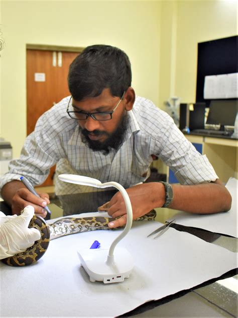 s karthy junior research fellow