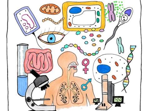 Biology Class Clip Art 的图像结果