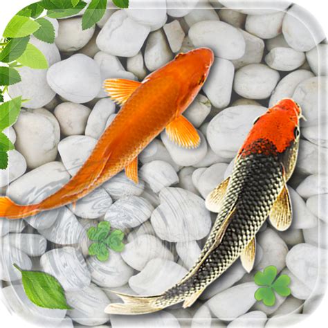 Fish Live Wallpaper: Koi Fish pond: Fish Aquarium Backgrounds - App on ...