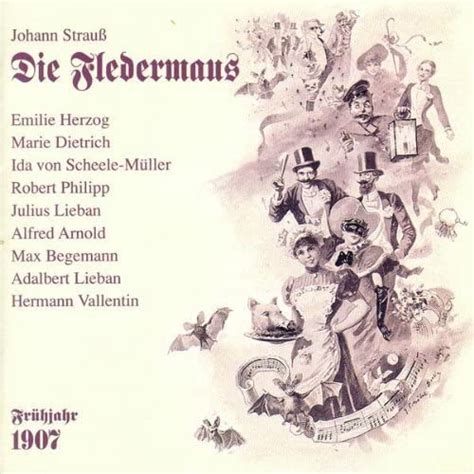 Die Fledermaus: R. Strauss, Bruno Seidler-Winkler, Johann Strauss II ...