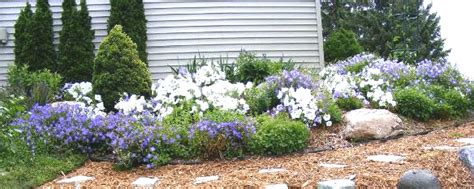 landscaping ideas zone 5