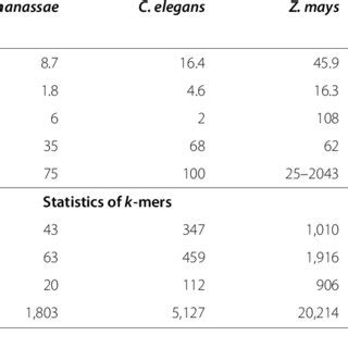 KMC Algorithm 的图像结果