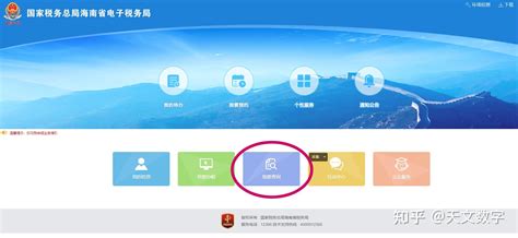 个人所得税如何查询2020年度个人收入纳税明细-2020年度个人收入纳税明细查看方法介绍-兔叽下载站