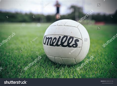 Gaelic Football 的图像结果