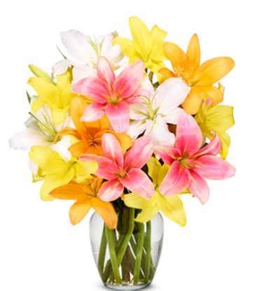 Buy Lilly Flower Online | Deliver Lilly Online - Cakegift.in