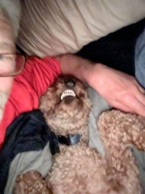 Day 69: Rollercoasters, Naked Hikers, and Other Myths - The Trek