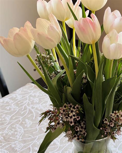 Ashley Stanley (@ashley.j.stanley) • Instagram photos and videos