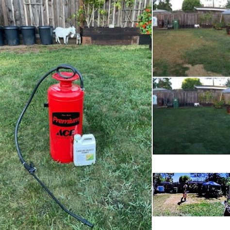 Grass Paint, Lawn Paint to Spray Grass Green, Grass Dye, Grass Spray ...