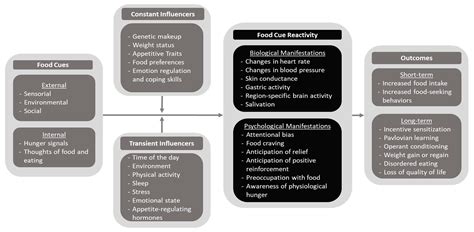 What Is Food Noise? A Conceptual Model of Food Cue Reactivity
