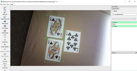 Object Detection Using Google Net 的图像结果