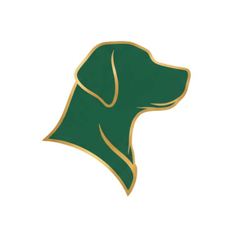 Why Does My Dog’s Nose Drip Clear Liquid?