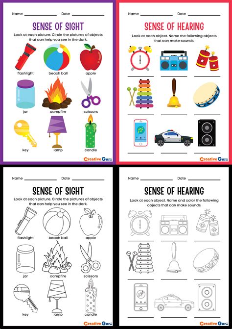 5 Senses Worksheet