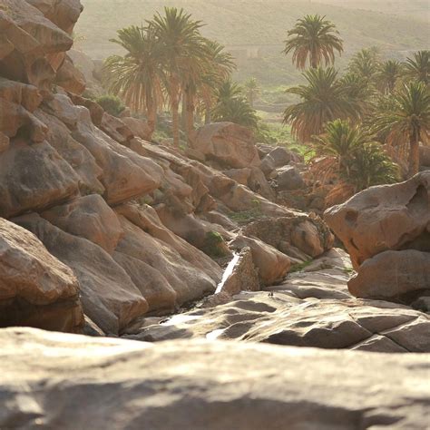 CLIMBING-FUERTEVENTURA - All You Need to Know BEFORE You Go 2026 (with ...