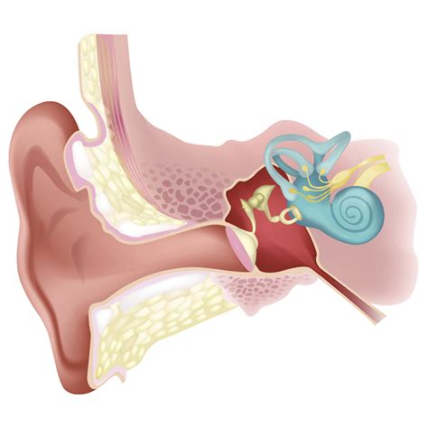 What are the causes of bleeding from the ear? | Dr. Nishi Gupta