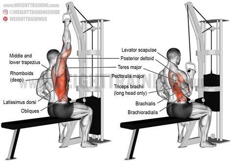 Single Arm Cable Fly
