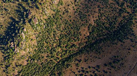 Prime 117 Acre Plot in Lolldaiga Valley, Kenya | Knight Frank India