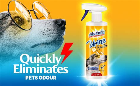 Buy BLUEOXY Urine Buster |Urine Destroyer Stain & Odor Remover |Dog ...