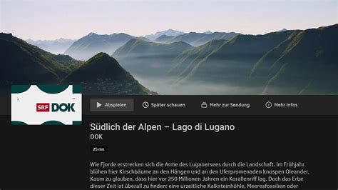 Image result for SRF Programm