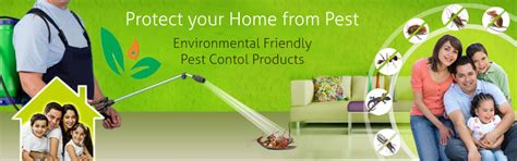Pest Control South Delhi | Termite Control Near Me
